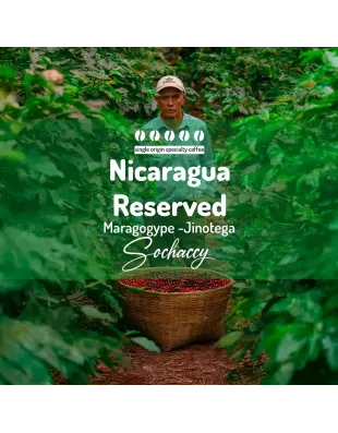 Plantacja kawy Nikaragua Reserved Jinotega-Maragogype — Jinotega, NIkaragua, uprawa 1.300-1.400 m n.p.m., świeżo palona Arabi