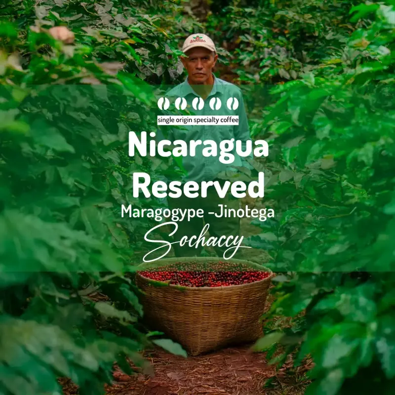 Plantacja kawy Nikaragua Reserved Jinotega-Maragogype — Jinotega, NIkaragua, uprawa 1.300-1.400 m n.p.m., świeżo palona Arabi