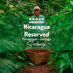 Plantacja kawy Nikaragua Reserved Jinotega-Maragogype — Jinotega, NIkaragua, uprawa 1.300-1.400 m n.p.m., świeżo palona Arabi