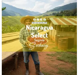 Nikaragua Select Segovia | Kawa Ziarnista | Świeżo Palona Arabica