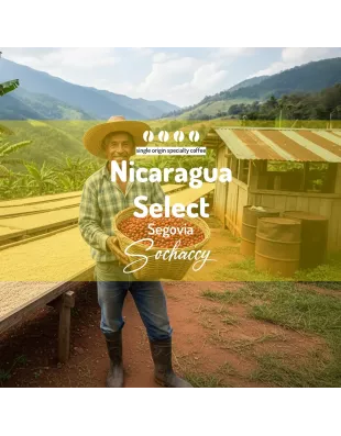 Plantacja kawy Nikaragua Select Segovia — Nueva Segovia, NIkaragua, uprawa 1,500-1,700 metrów n.p.m., świeżo palona Arabica
