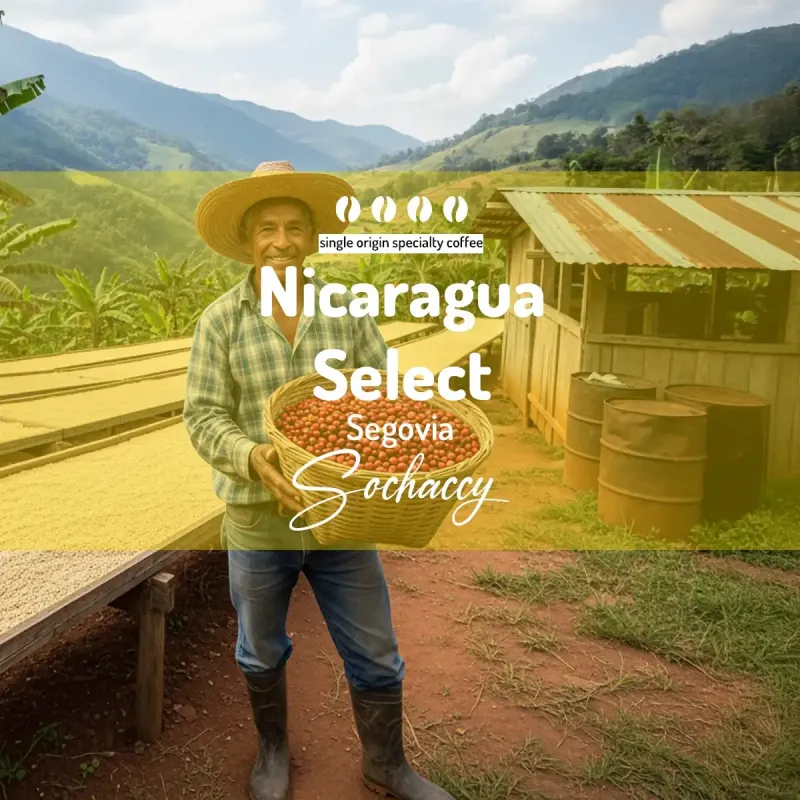 Plantacja kawy Nikaragua Select Segovia — Nueva Segovia, NIkaragua, uprawa 1,500-1,700 metrów n.p.m., świeżo palona Arabica