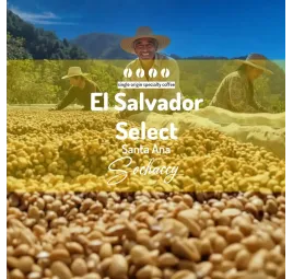 Salwador Select Santa Ana | Kawa Ziarnista | Świeżo Palona Arabica