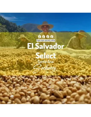 Plantacja kawy Salwador Select Santa Ana — Santa Ana, Salwador, uprawa 1,000 m n.p.m., świeżo palona Arabica