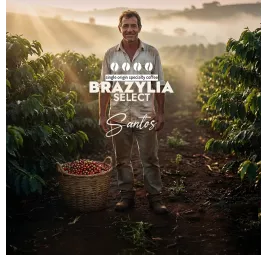 Brazylia Select Santos