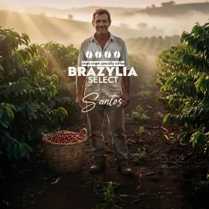 Plantacja kawy Brazylia Select Santos — Minas Gerais, Brazylia, uprawa 1 130&nbsp; m n.p.m.., świeżo palona Arabica
