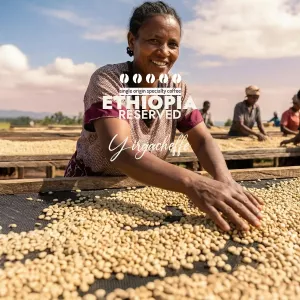 Plantacja kawy Etiopia Reserved Yirgacheffe — Yirgacheffe, Etiopia, świeżo palona Arabica
