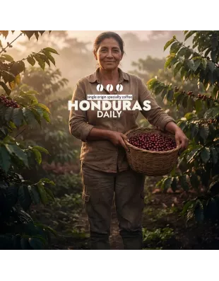 Plantacja kawy Honduras Daily — Comayagua/Montecillos, Honduras, świeżo palona Arabica