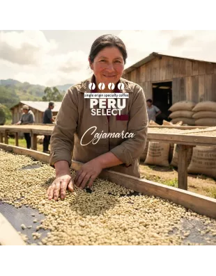 Plantacja kawy Peru Select Cajamarca — Cajamarca, Peru, świeżo palona Arabica