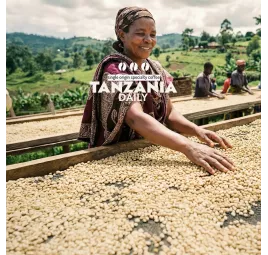 Tanzania Daily | Kawa Ziarnista | Świeżo Palona Arabica