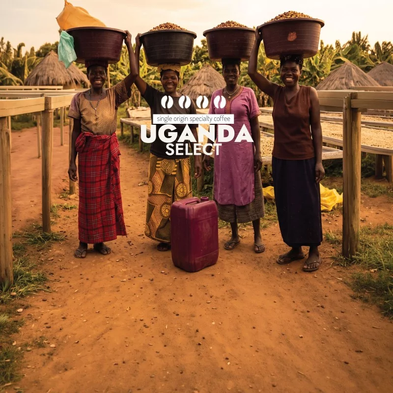Uganda Select | Kawa Ziarnista | Świeżo Palona ArabicaRzemieślnicza Palarnia Kawy Sochaccy