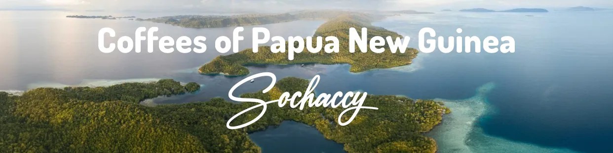Świeża kawa z Papui Nowej Gwinei | Najlepsza kawa na SwiezoWypalana.pl
