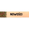 Nowości