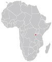 Kawy Burundi