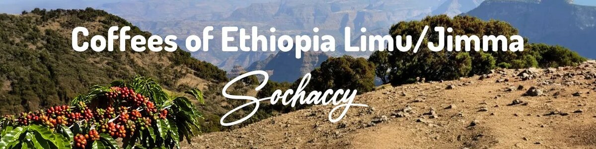 Region Limu/Jimma