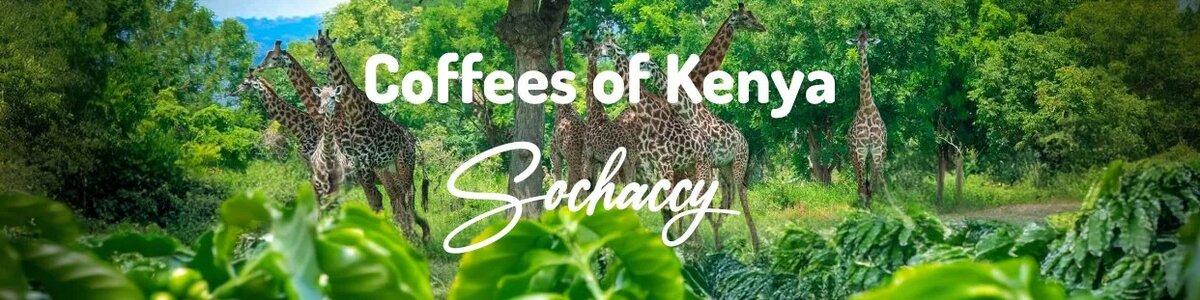 Kenia