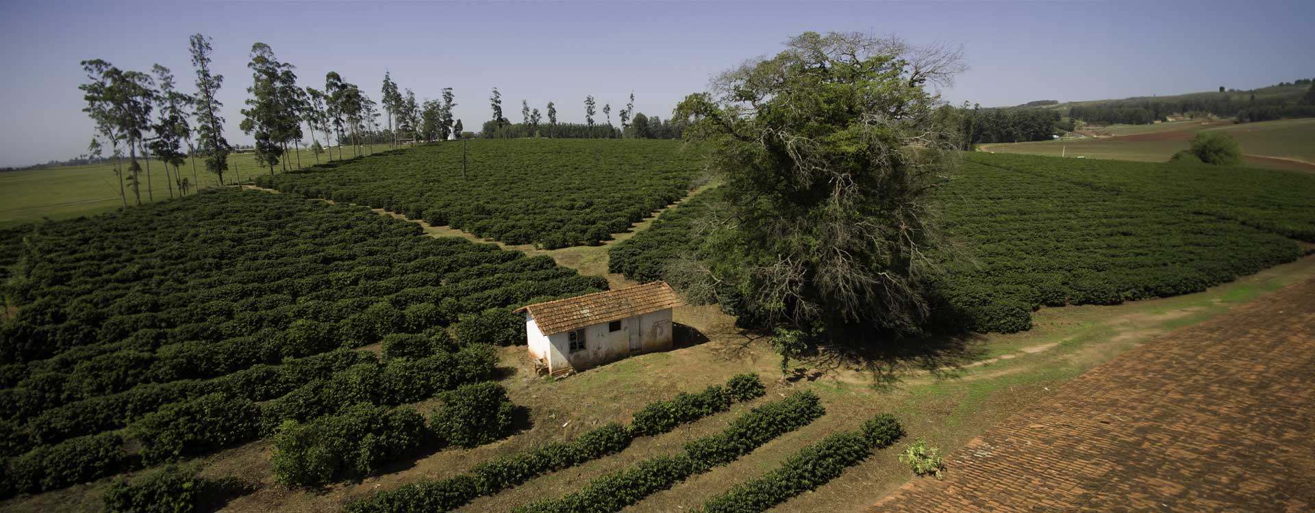 Małą farma w Brazylii