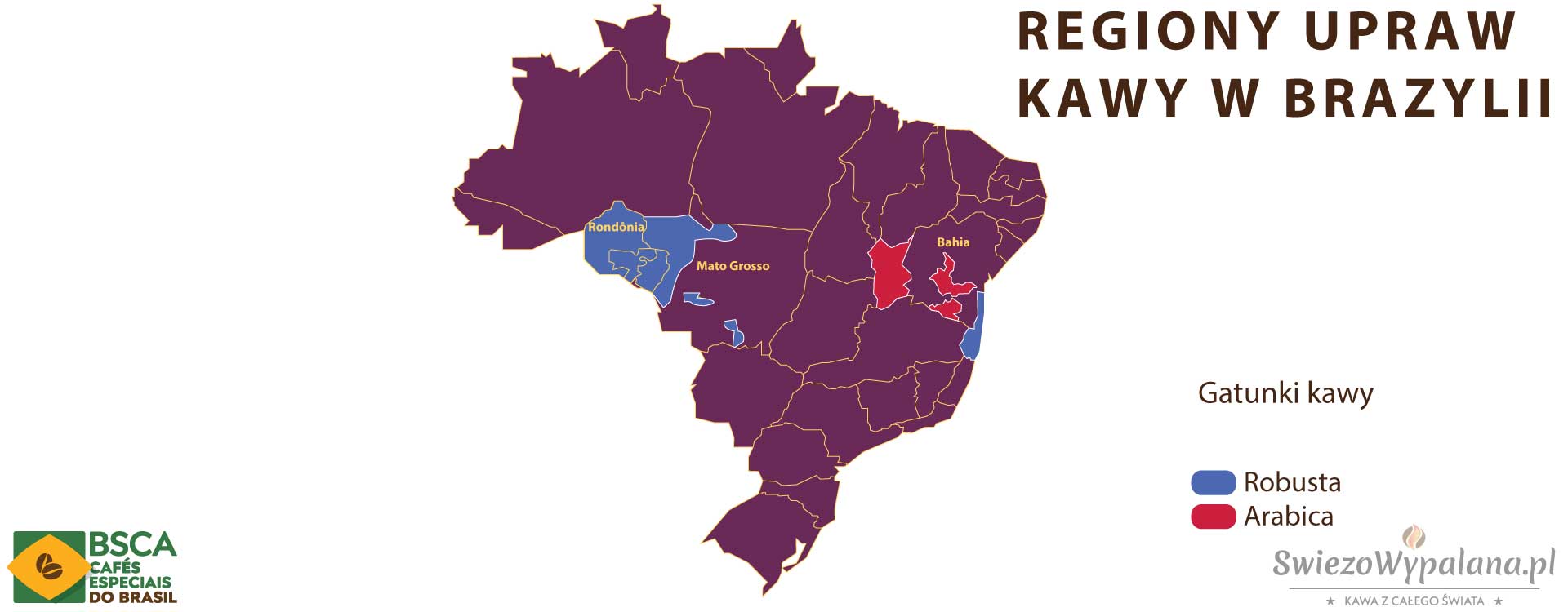Regiony upraw kawy w Brazylii