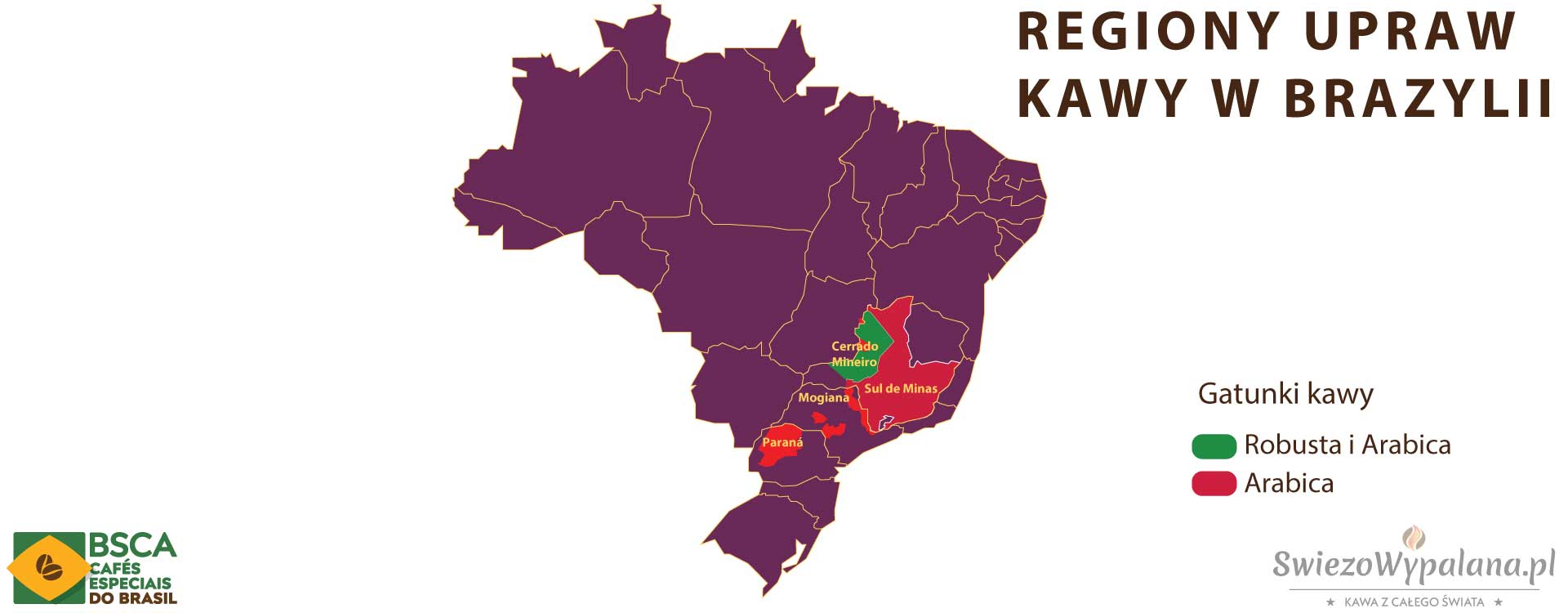 Kawa z Brazylii Regionu upraw