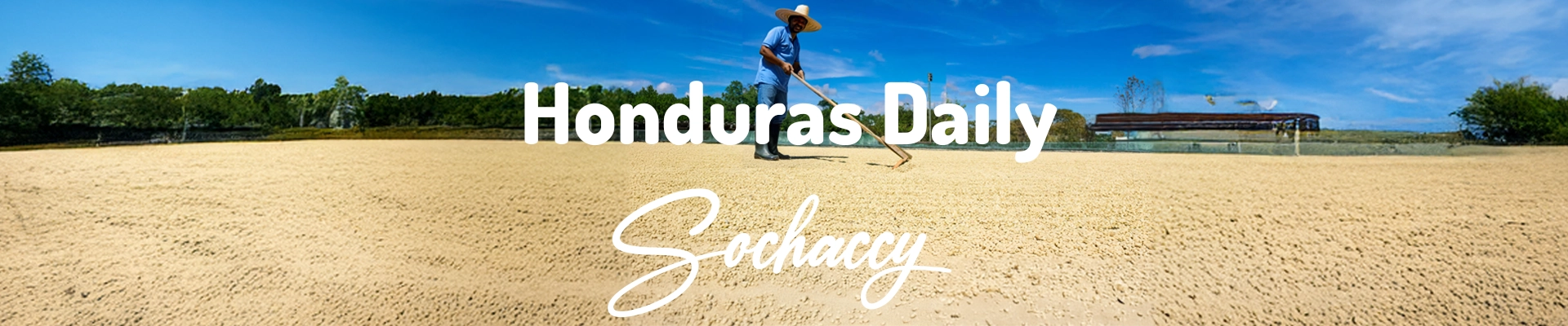 Kawa Honduras Daily Sochaccy