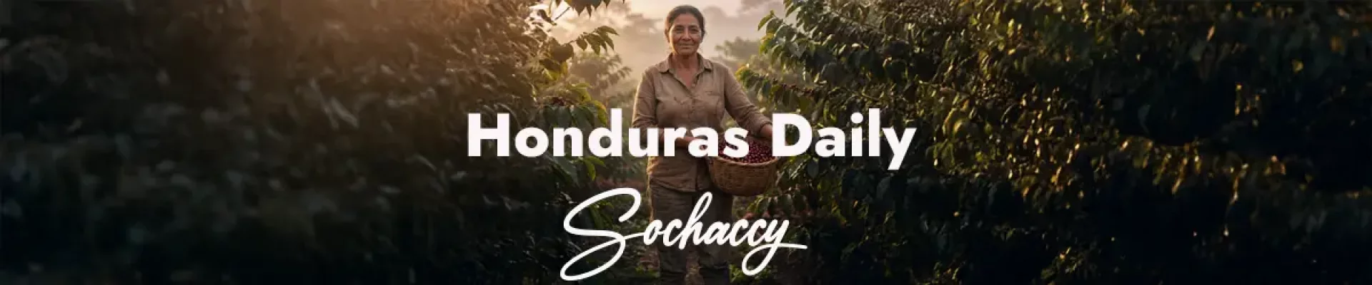 Kawa Honduras Daily — świeżo palona Arabica specialty <strong>Very Good Specialty</strong>, mleczna czekolada, cytrusów, owoce pestkowe, Palarnia Sochaccy
