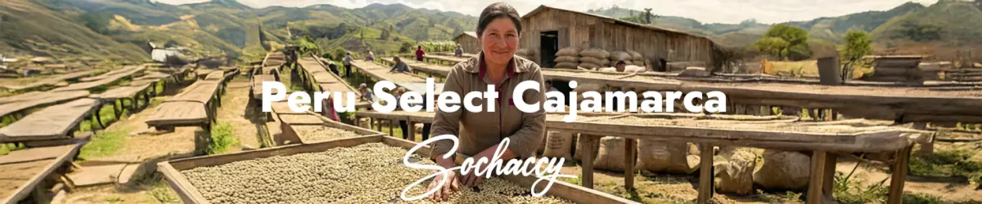 Kawa Peru Select Cajamarca — świeżo palona Arabica specialty <strong>Very Good Specialty</strong>, winogrona, czekolada, cytrusy, melasa, Palarnia Sochaccy