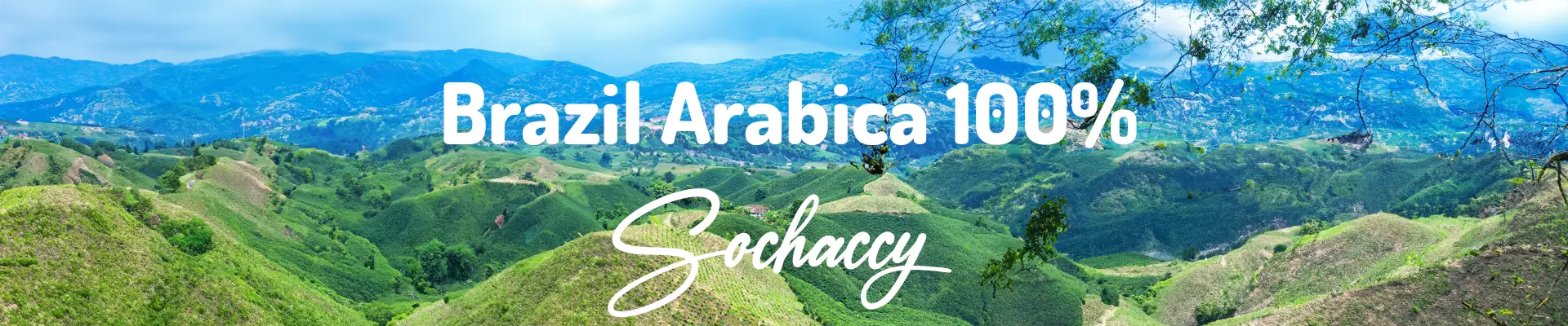Kawa Brazylia Arabica 100% 1kg — świeżo palona , wyjątkowe nuty smakowe, Palarnia Sochaccy
