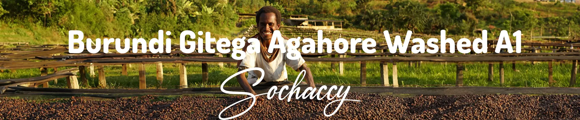 Kawa Burundi Gitega Agahore — świeżo palona Arabica specialty 80,00 pkt SCA, Czarna Porzeczka, Palarnia Sochaccy