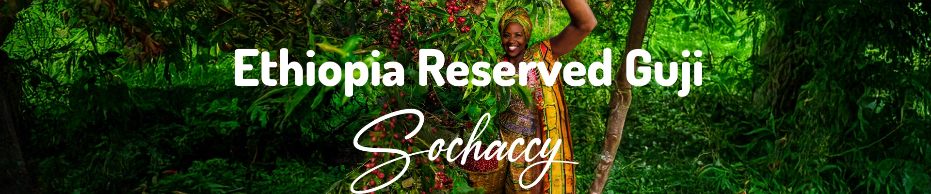 Kawa Etiopia Reserved Guji — świeżo palona Arabica specialty 86,00 pkt SCA, leśne jagody, Palarnia Sochaccy