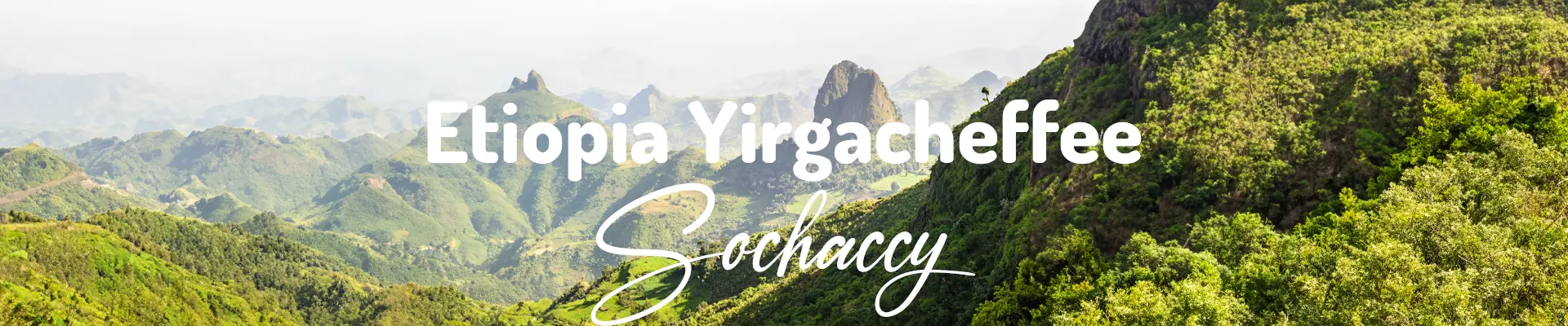 Kawa Etiopia Yirgacheffe — świeżo palona Arabica specialty 87,00 pkt SCA, Pomarańcze, Palarnia Sochaccy