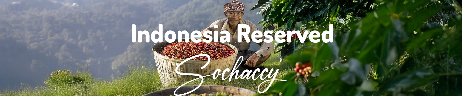 Kawa Indonezja Reserved — świeżo palona Arabica specialty <strong>Very Good Specialty</strong>, Tytoń, Palarnia Sochaccy