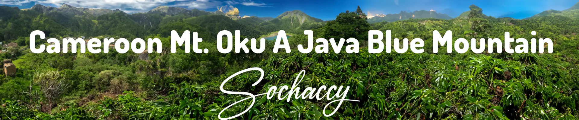 Kawa Kamerun Mt. Oku — świeżo palona Arabica, Brzoskwinie, Palarnia Sochaccy