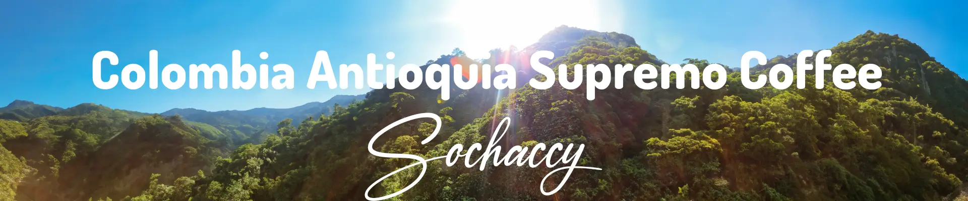 Kawa Kolumbia Antioquia — świeżo palona Arabica, pomarańcz, Palarnia Sochaccy