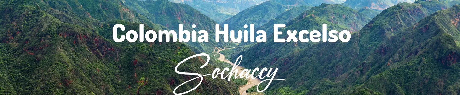 Kawa Kolumbia Huila — świeżo palona Arabica, toffi, Palarnia Sochaccy