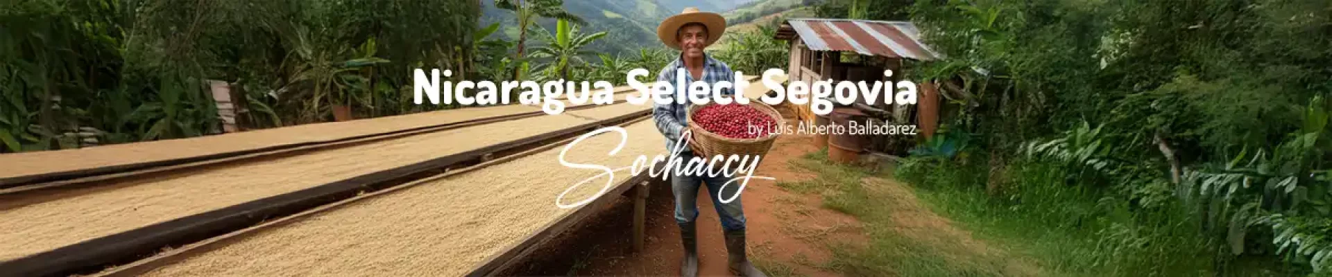 Kawa Nikaragua Select Segovia — świeżo palona Arabica specialty <strong>Very Good Specialty</strong>, świeże owoce pestkowe, limonka, mleczna czekolad…, Palarnia Sochaccy