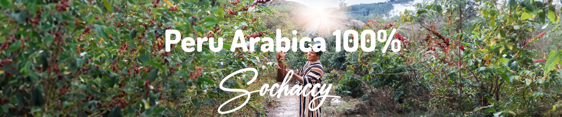 Kawa Peru Arabica 100% 1kg — świeżo palona Arabica, karmel, Palarnia Sochaccy
