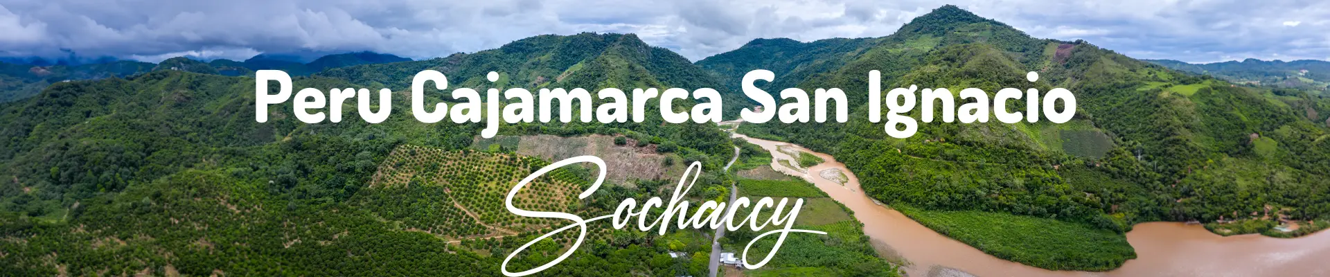 Kawa Peru Cajamarca San Ignacio — świeżo palona Arabica specialty 83,25 pkt SCA, mleczna czekolada, Palarnia Sochaccy