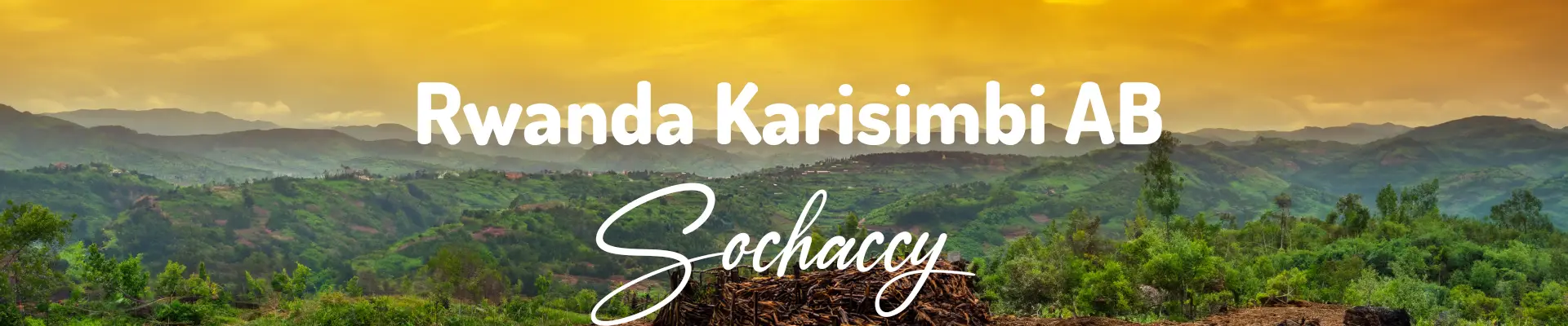 Kawa Rwanda Karisimbi — świeżo palona Arabica, czarna herbata, Palarnia Sochaccy