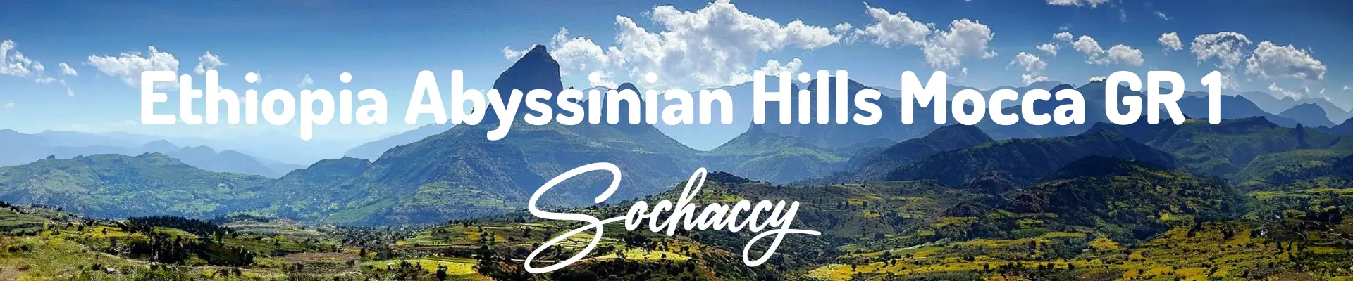 Kawa Etiopia Abisynia Hills — świeżo palona Arabica specialty 87,00 pkt SCA, Poziomka, Palarnia Sochaccy