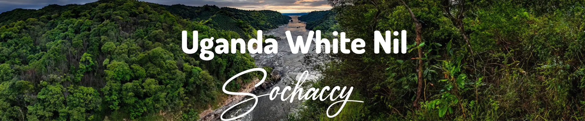 Kawa Uganda White Nil — świeżo palona Arabica specialty 83,5 pkt SCA, ananas, Palarnia Sochaccy