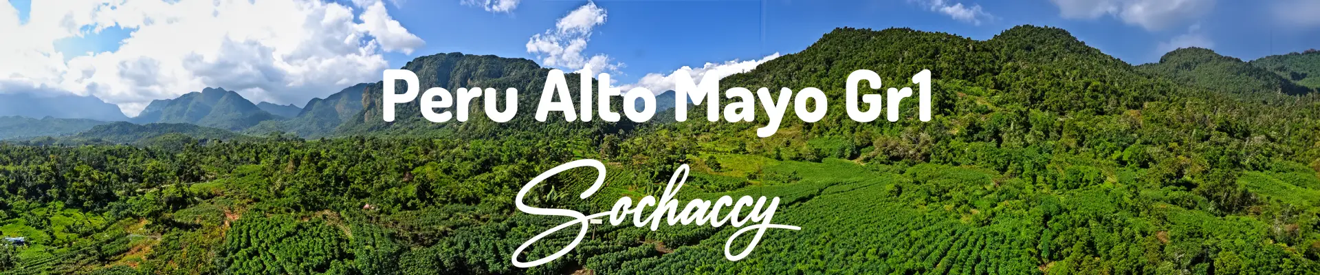 Kawa Peru Alto Mayo — świeżo palona Arabica specialty 82,75 pkt SCA, Winogrona, Palarnia Sochaccy
