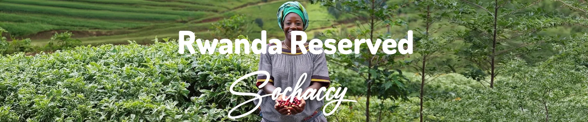 Kawa Rwanda Reserved — świeżo palona Arabica specialty <strong>Very Good Specialty</strong>, suszone morele, Palarnia Sochaccy