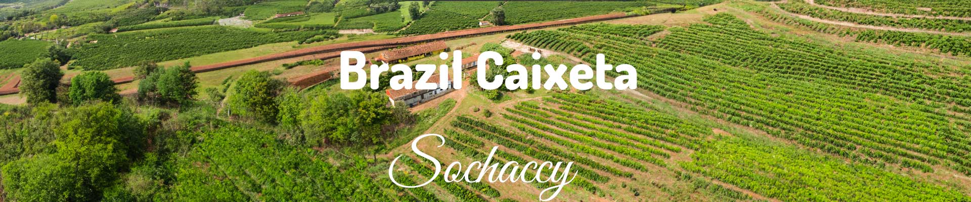 Brazylia Fazenda Caixeta
