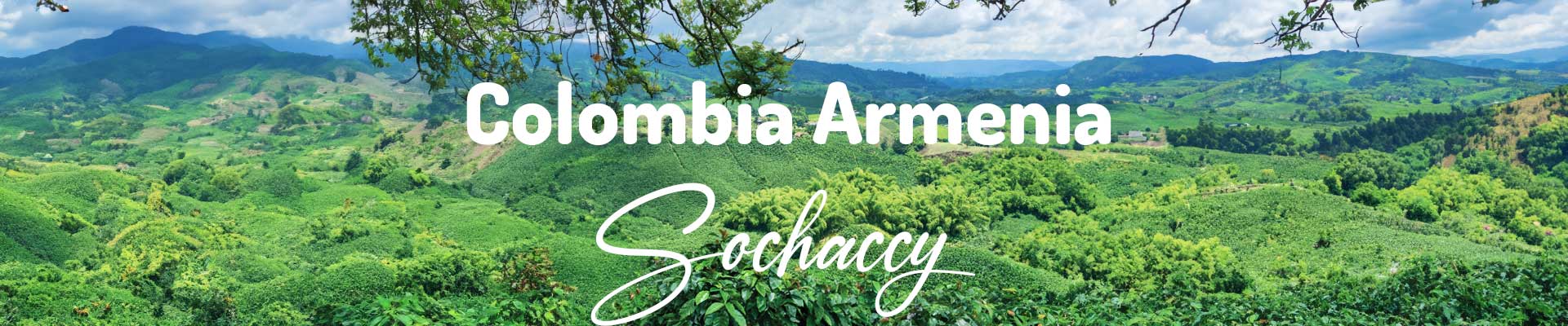 Kolumbia Armenia Excelso Kawa Ziarnista Świeżo Palona Arabica