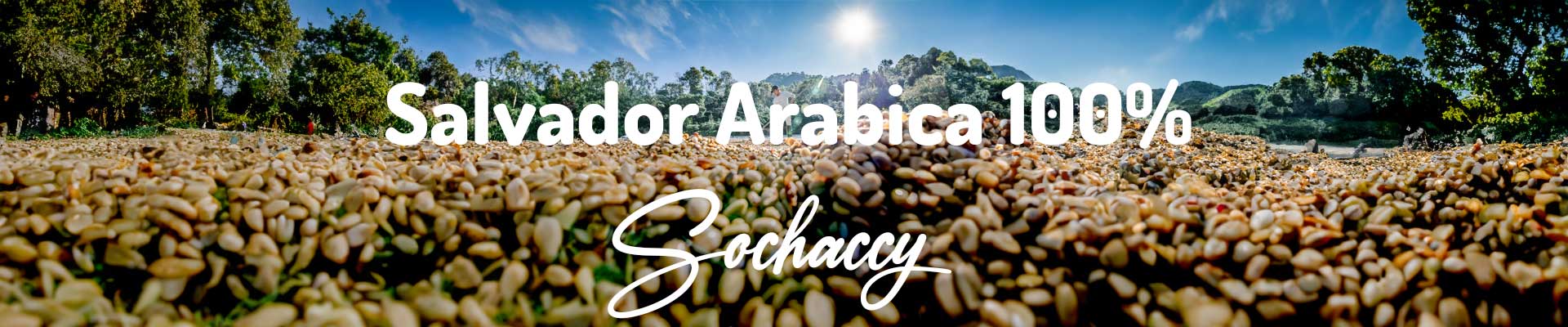 Kawa ziarnista świeżo palona Salwador Arabica 100
