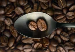 Kawa z Kolumbii: Odkryj różnice między Excelso a Supremo