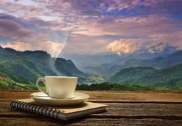 Tajemnica smaku kawy: Jak wysokość plantacji wpływa na smak Twojej kawy?