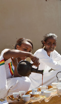  Kawy Etiopii 